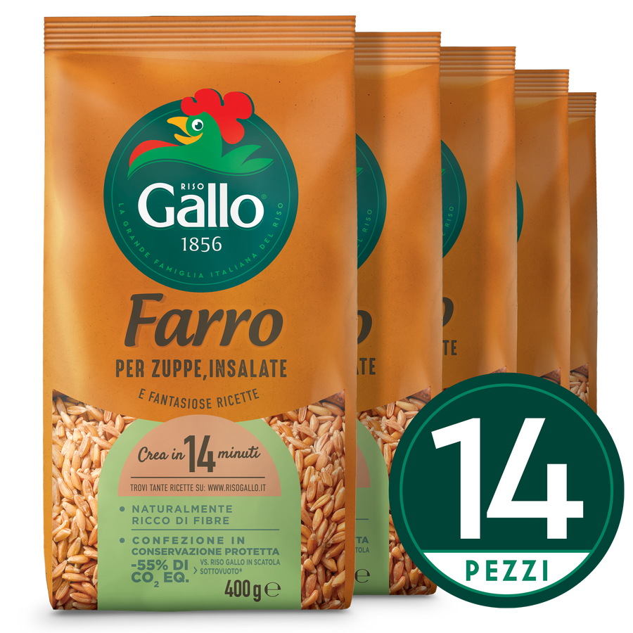 FARRO-OUTLET  Video1