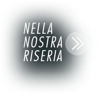 Sezione successiva