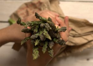 Risotto alle nocciole con crema di asparagi e ricotta di capra