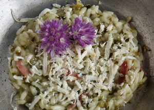 risotto con silene e speck accompagnato da ricotta affumicata