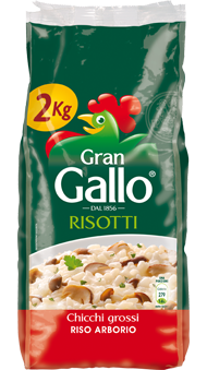 Un grosso gallo bianco