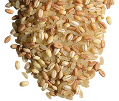 3 CEREALI