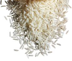 BASMATI