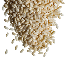 CARNAROLI RUSTICO